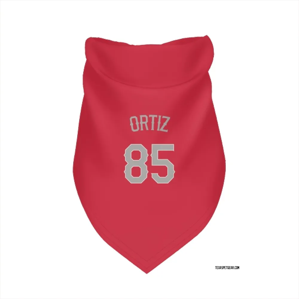 Texas Rangers Abimelec Ortiz Red Pet Bandana for Dog & Cat