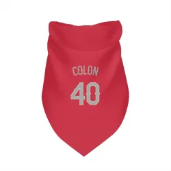 Texas Rangers Bartolo Colon Red Pet Bandana for Dog & Cat