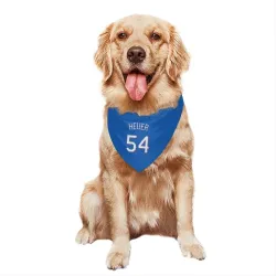 Texas Rangers Codi Heuer Royal Pet Bandana for Dog & Cat