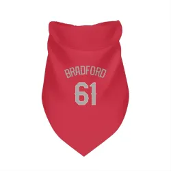 Texas Rangers Cody Bradford Red Pet Bandana for Dog & Cat