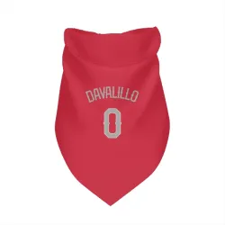 Texas Rangers David Davalillo Red Pet Bandana for Dog & Cat