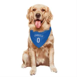 Texas Rangers David Davalillo Royal Pet Bandana for Dog & Cat