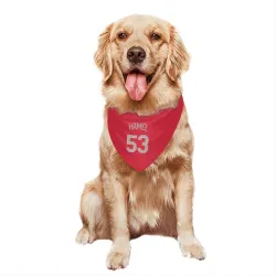 Texas Rangers Dominic Hamel Red Pet Bandana for Dog & Cat