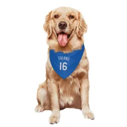 Texas Rangers Donovan Solano Royal Pet Bandana for Dog & Cat
