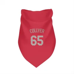 Texas Rangers Gavin Collyer Red Pet Bandana for Dog & Cat