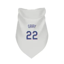 Texas Rangers Jon Gray White Pet Bandana for Dog & Cat