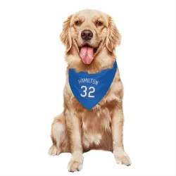 Texas Rangers Josh Hamilton Royal Pet Bandana for Dog & Cat