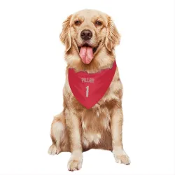 Texas Rangers Kevin Pillar Red Pet Bandana for Dog & Cat
