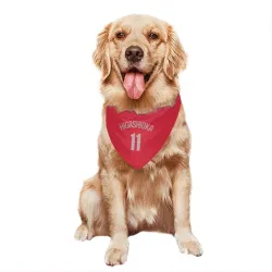 Texas Rangers Kyle Higashioka Red Pet Bandana for Dog & Cat