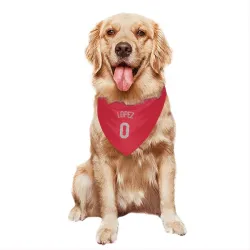 Texas Rangers Leandro Lopez Red Pet Bandana for Dog & Cat