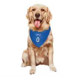 Texas Rangers Leandro Lopez Royal Pet Bandana for Dog & Cat
