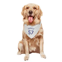Texas Rangers Luis Curvelo White Pet Bandana for Dog & Cat