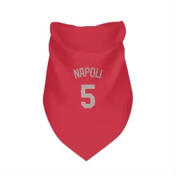 Texas Rangers Mike Napoli Red Pet Bandana for Dog & Cat
