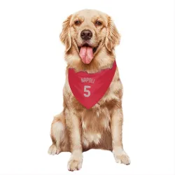 Texas Rangers Mike Napoli Red Pet Bandana for Dog & Cat