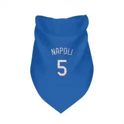 Texas Rangers Mike Napoli Royal Pet Bandana for Dog & Cat