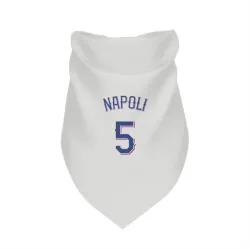 Texas Rangers Mike Napoli White Pet Bandana for Dog & Cat