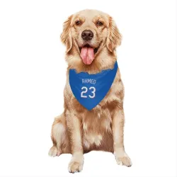 Texas Rangers Nick Ahmed Royal Pet Bandana for Dog & Cat