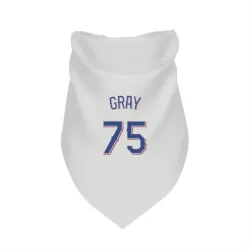 Texas Rangers Peyton Gray White Pet Bandana for Dog & Cat