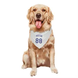 Texas Rangers Phil Maton White Pet Bandana for Dog & Cat