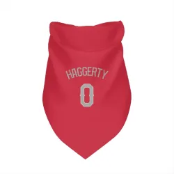 Texas Rangers Sam Haggerty Red Pet Bandana for Dog & Cat
