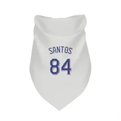Texas Rangers Winston Santos White Pet Bandana for Dog & Cat